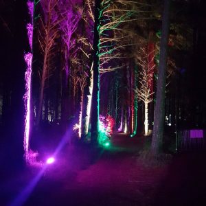 event-festival-outdoor-lighting
