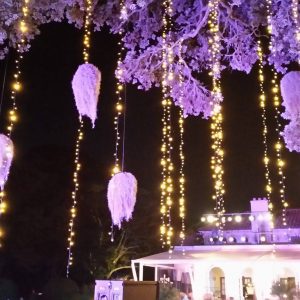 event-outdoor-lighting